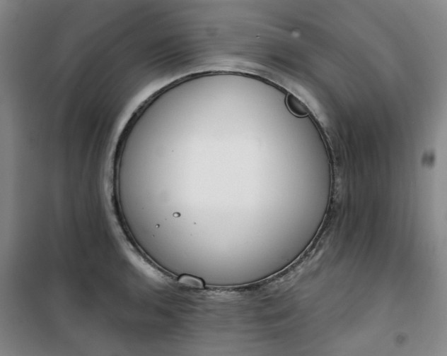 X0000101151136200807110959