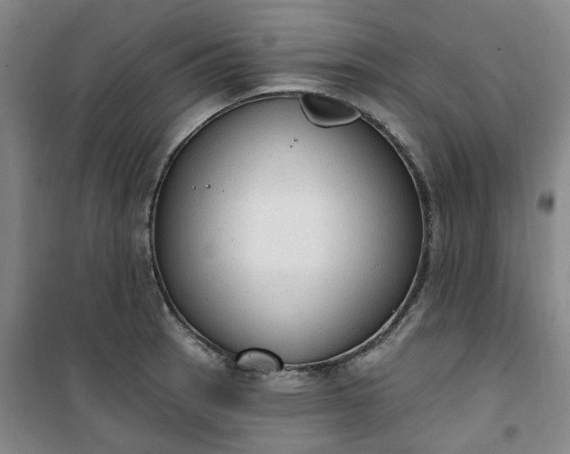 X0000101151137200807110959