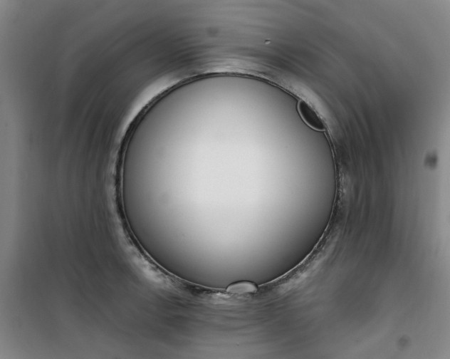 X0000101151138200807110959