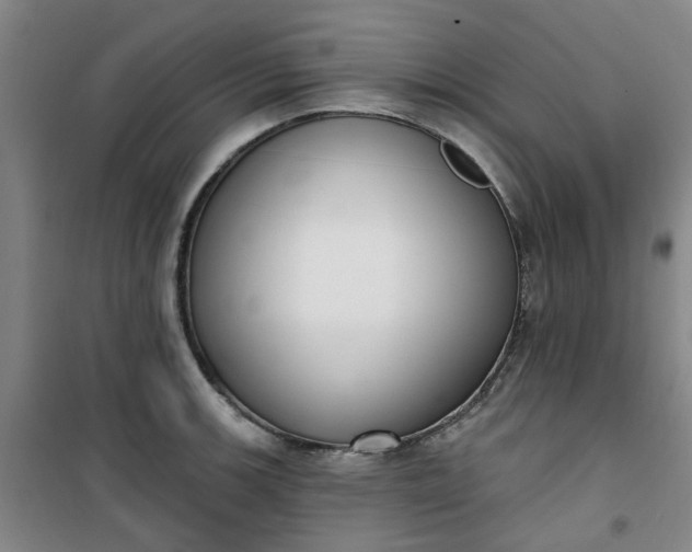 X0000101151139200807110959