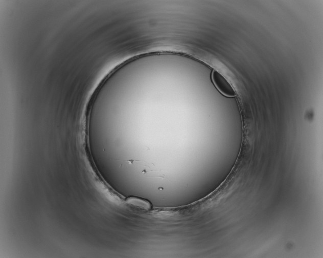 X0000101151140200807110959