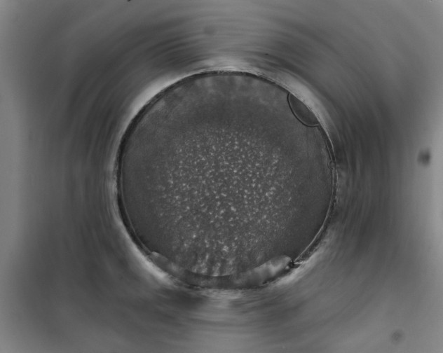 X0000101151141200807110959