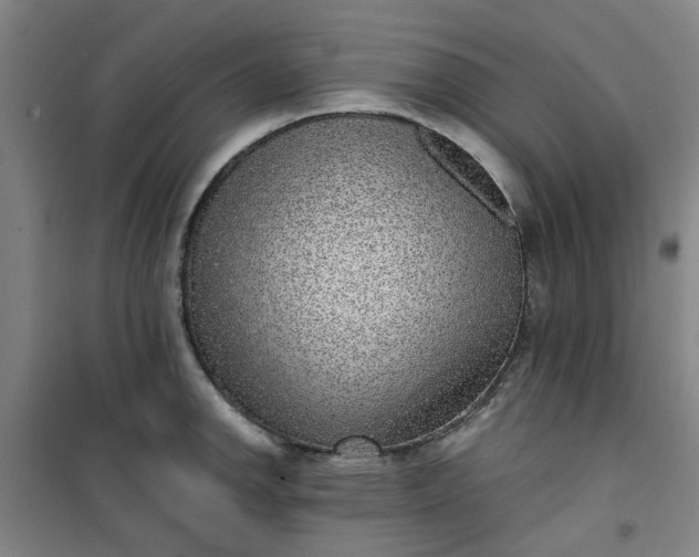 X0000101151142200807110959