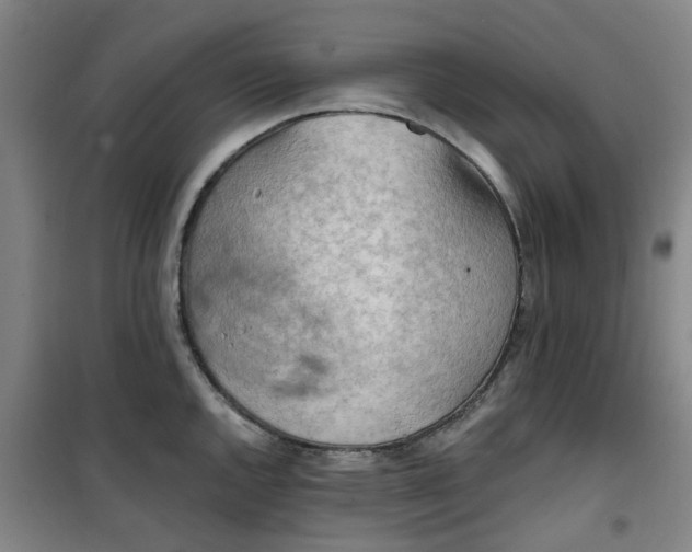 X0000101151144200807111000