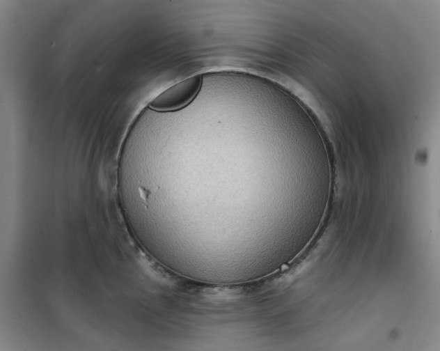 X0000101151145200807111000