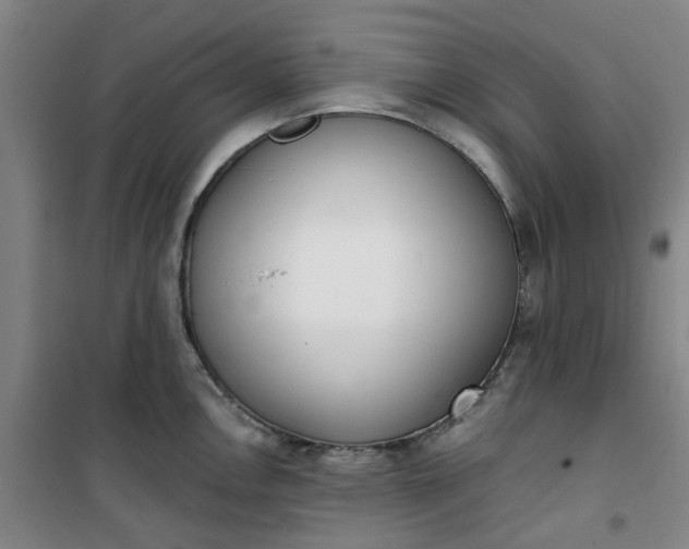 X0000101151146200807111000