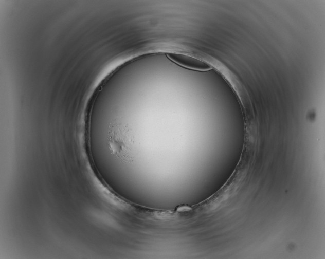 X0000101151147200807111000