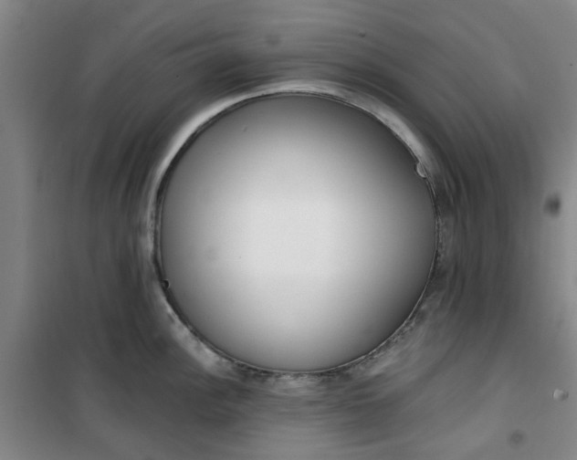 X0000101151148200807111000