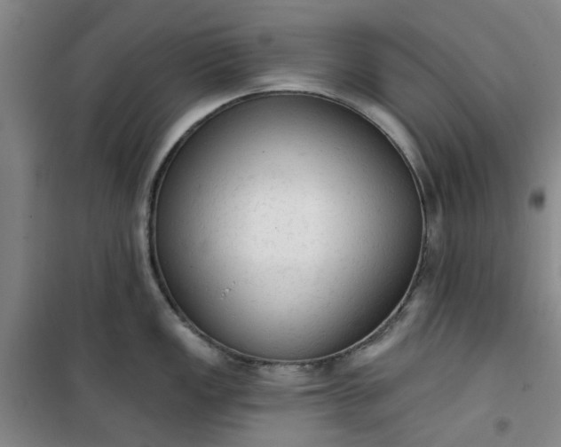 X0000101151149200807111000