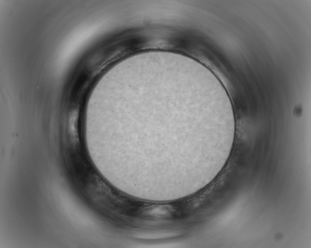 X0000101151150200807111000