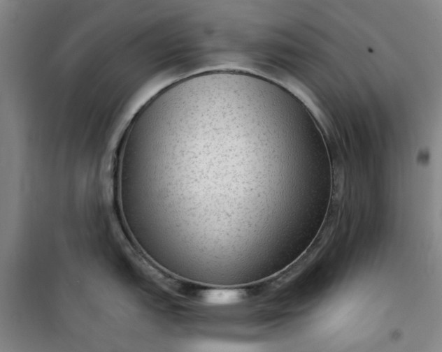 X0000101151151200807111000