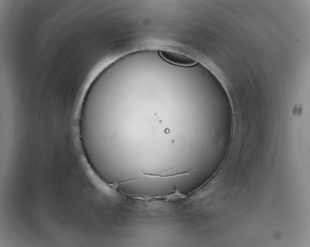 X0000101151152200807111000