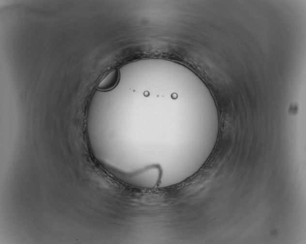 X0000101151153200807110959