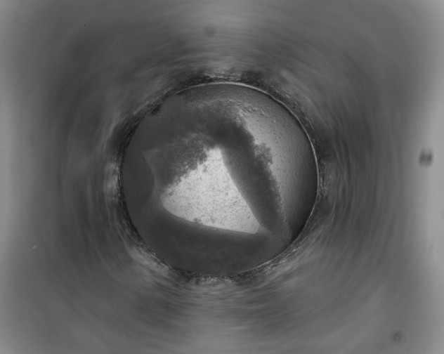 X0000101151154200807110959