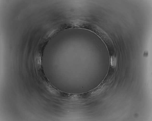 X0000101151155200807110959