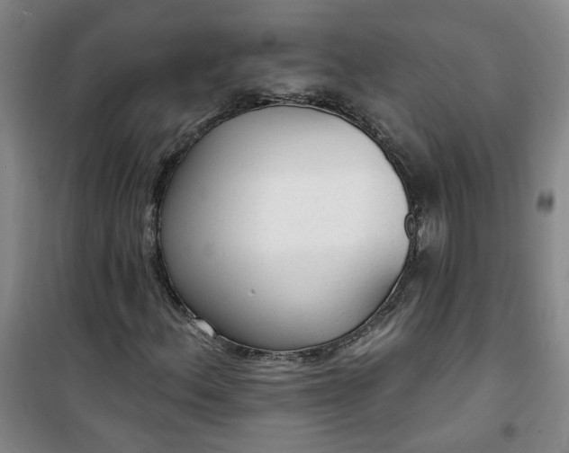 X0000101151156200807110959