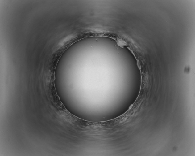 X0000101151157200807110959