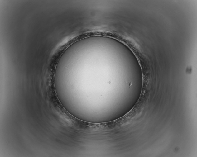 X0000101151159200807110959