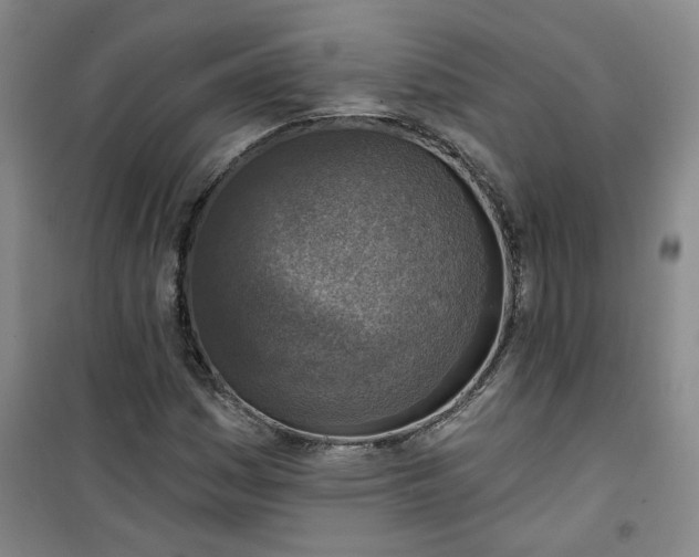 X0000101151161200807110959