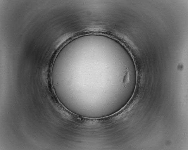 X0000101151162200807110959