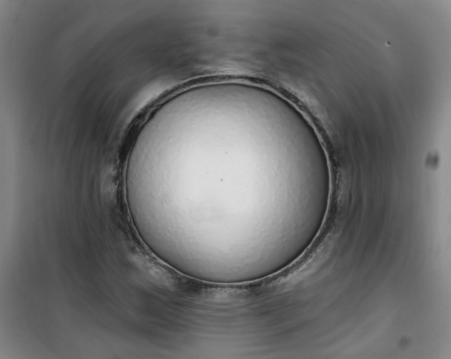 X0000101151163200807110959