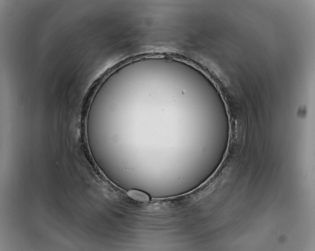 X0000101151165200807110959