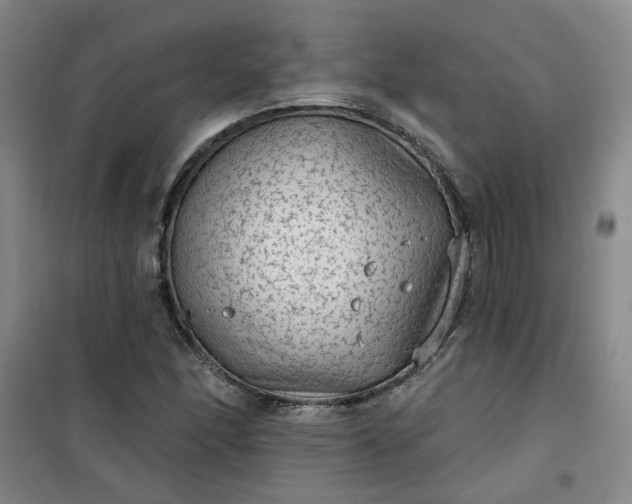 X0000101151166200807110959