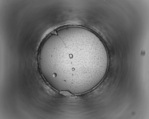 X0000101151168200807110959