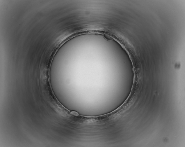 X0000101151169200807110959