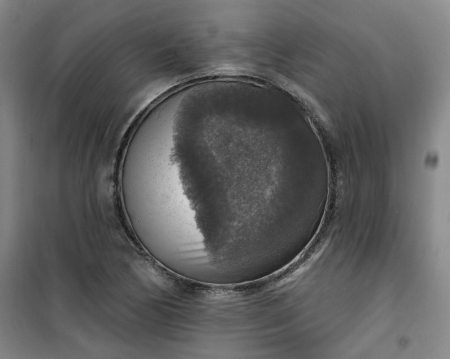 X0000101151170200807110959