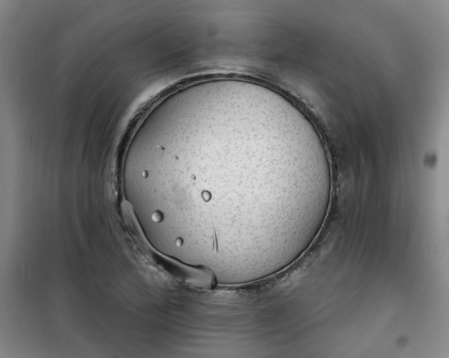 X0000101151172200807110959