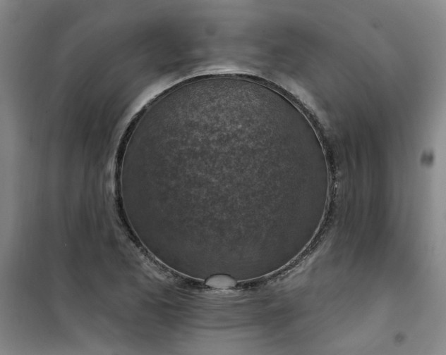 X0000101151173200807110959