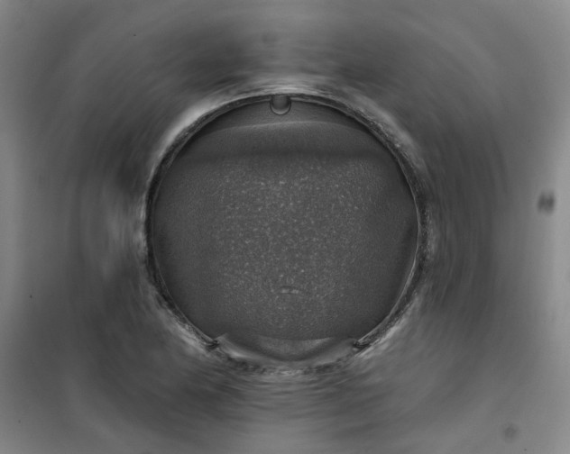 X0000101151174200807110959