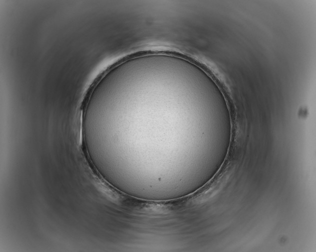 X0000101151175200807110959