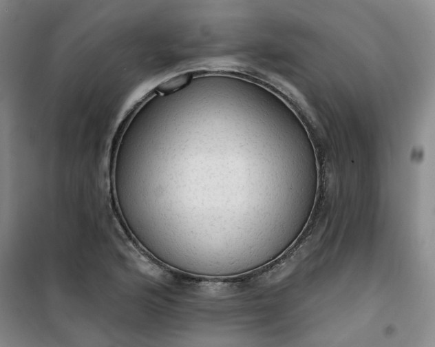 X0000101151176200807110959