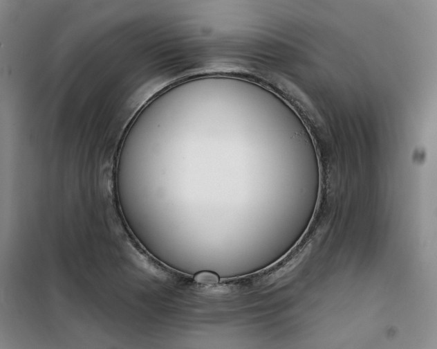 X0000101151177200807110959