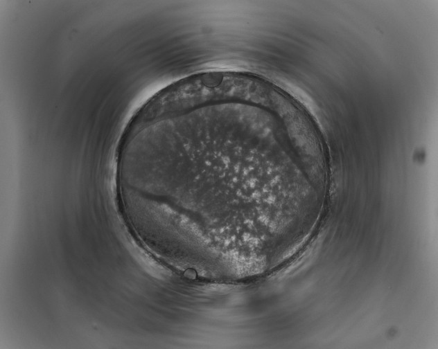 X0000101151179200807110959