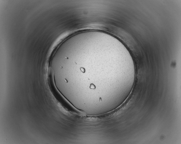 X0000101151180200807110959