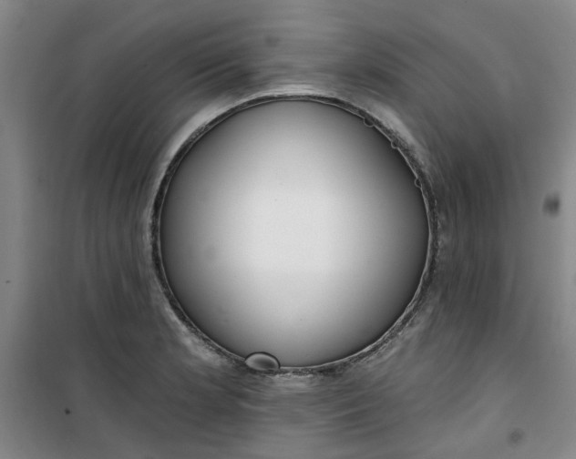 X0000101151181200807110959