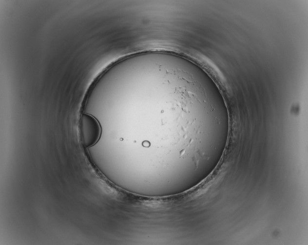 X0000101151182200807110959