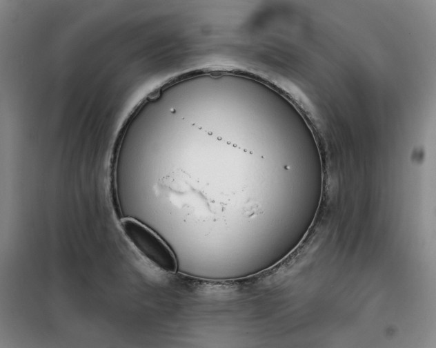 X0000101151183200807110959