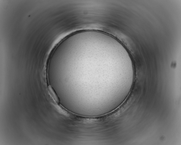 X0000101151184200807110959