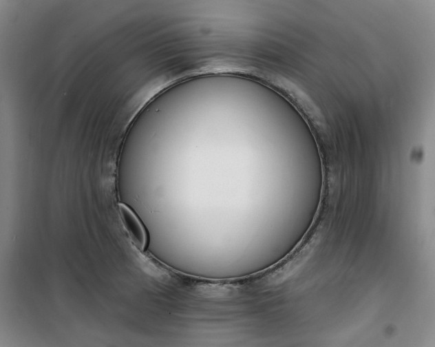 X0000101151185200807110959