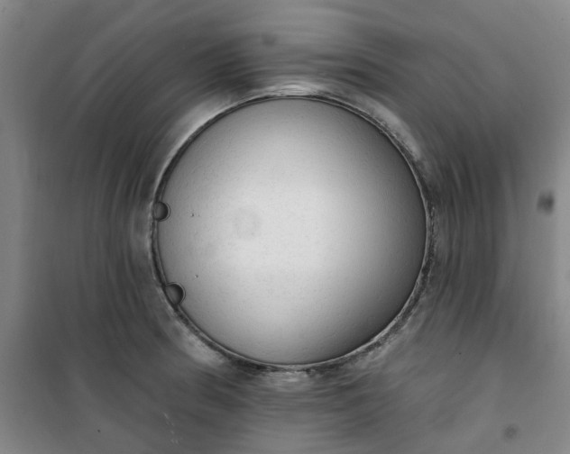 X0000101151186200807110958