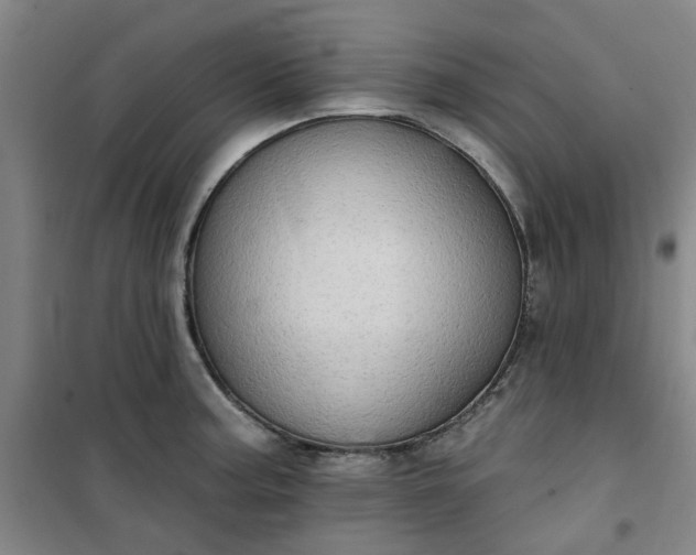 X0000101151187200807110958