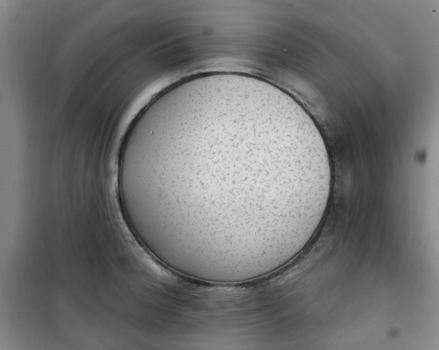 X0000101151188200807110958