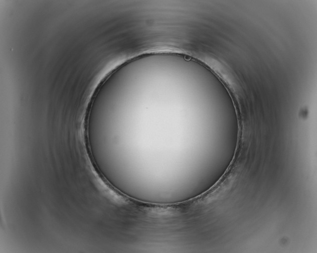 X0000101151189200807110958