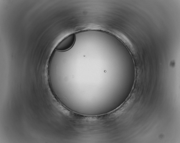 X0000101151190200807110958