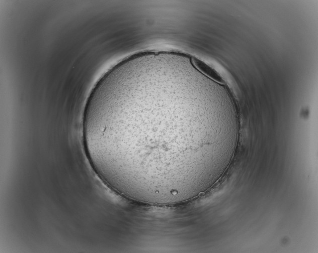 X0000101151191200807110958