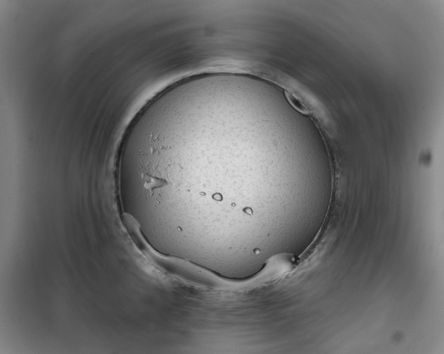 X0000101151192200807110958